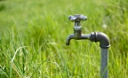 pixabay-water tap (11)